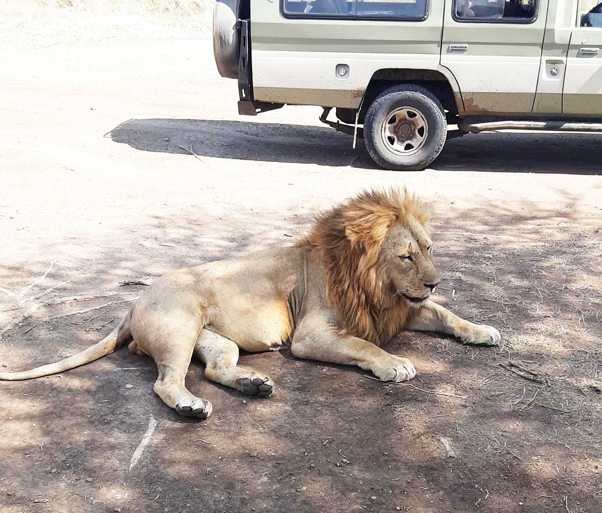 why tanzania safaris